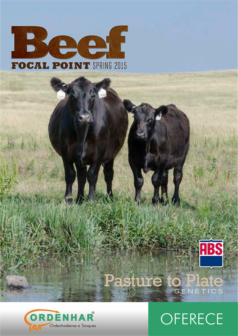 CATALOGO BEEF FOCAL 2015