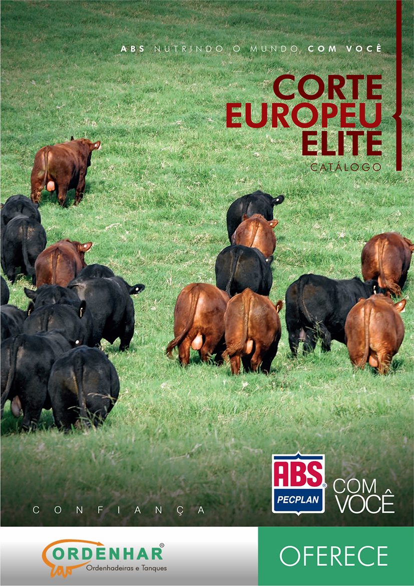 CATALOGO CORTE EUROPEU ELITE 2015